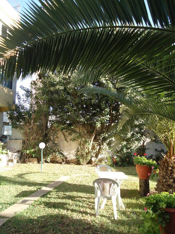 Takad Dream Studios Agadir Rom bilde